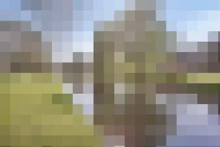 Schietbaanlaan 104 A 02 Rotterdam thumbnail 25