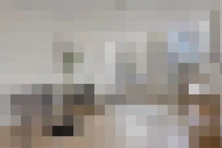 Schietbaanlaan 104 A 02 Rotterdam thumbnail 34