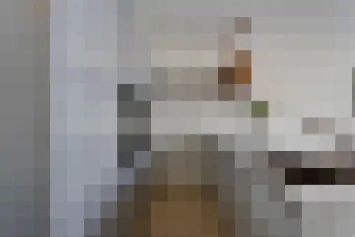 Schietbaanlaan 104 A 02 Rotterdam thumbnail 9