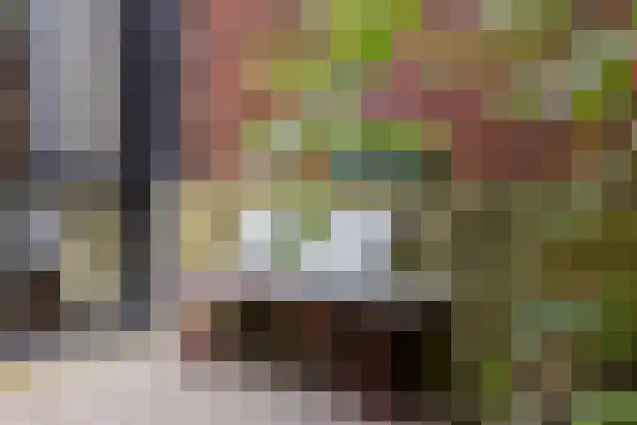 Schietbaanlaan 105 B Rotterdam thumbnail 32