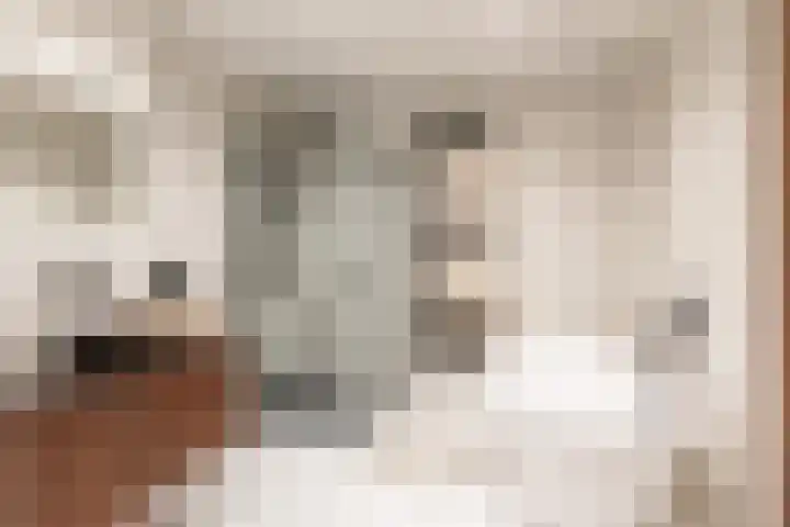 Schietbaanlaan 105 B Rotterdam thumbnail 37