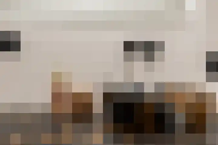 Schietbaanlaan 105 B Rotterdam thumbnail 40