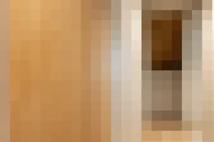 Schietbaanlaan 105 B Rotterdam thumbnail 44