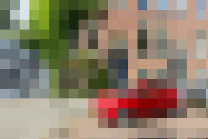 Schietbaanlaan 105 B Rotterdam thumbnail 47