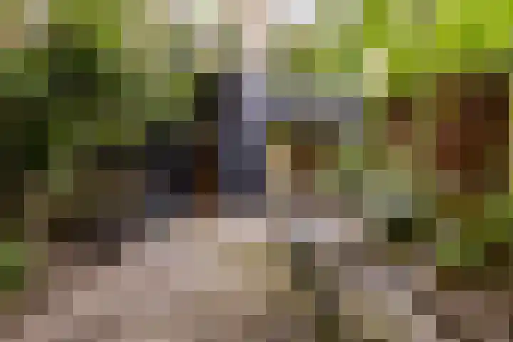 Schietbaanlaan 105 B Rotterdam thumbnail 5