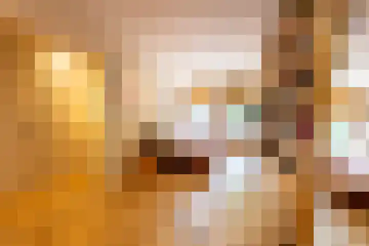 Schietbaanlaan 105 B Rotterdam thumbnail 8