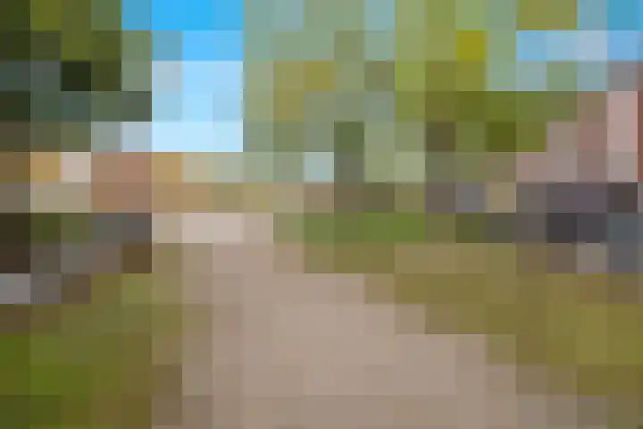 Schietbaanlaan 30 A 02 Rotterdam thumbnail 36