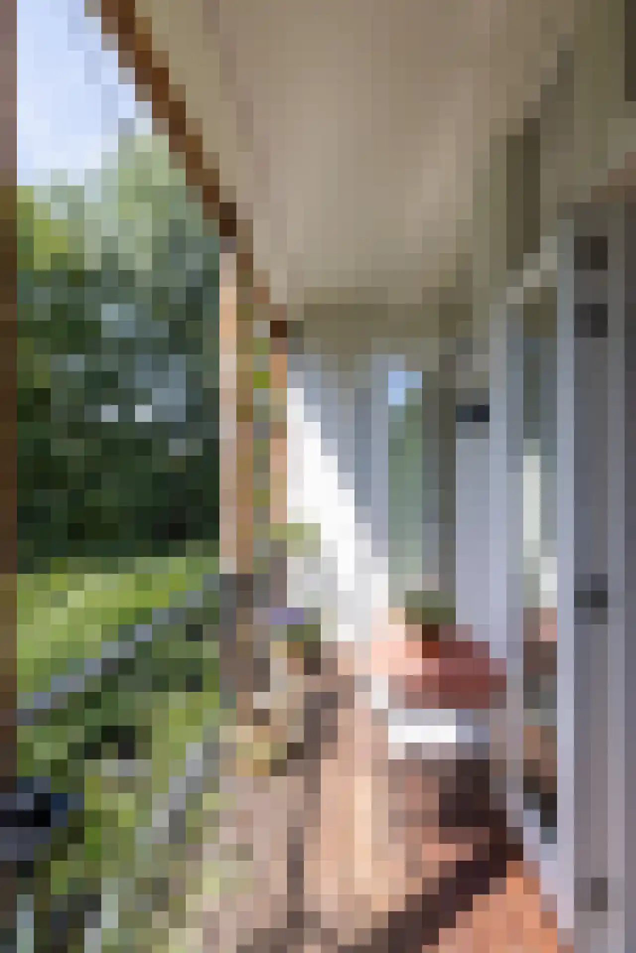 Schietbaanlaan 40 B 01 Rotterdam thumbnail 31