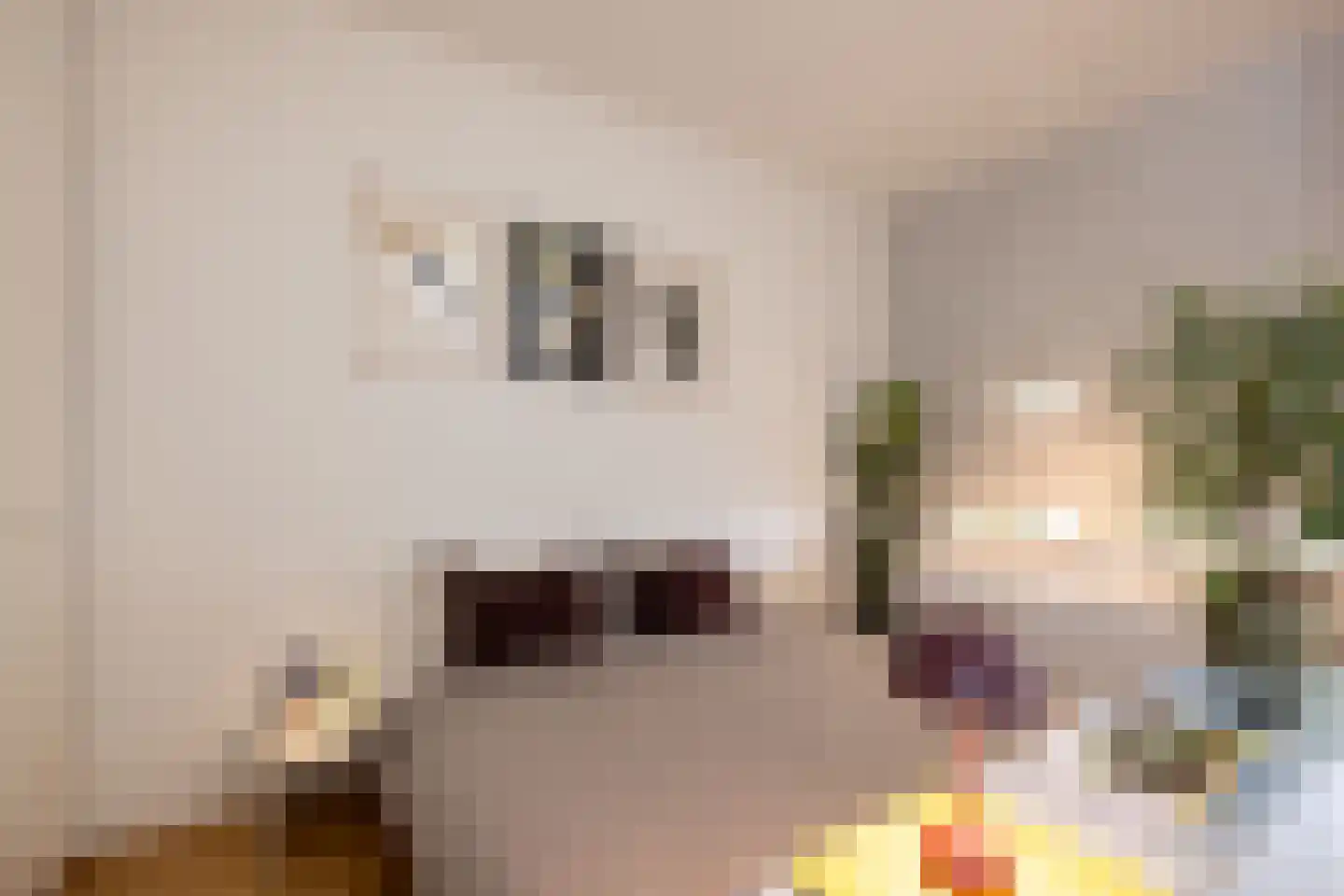 Schietbaanlaan 40 B 01 Rotterdam thumbnail 5