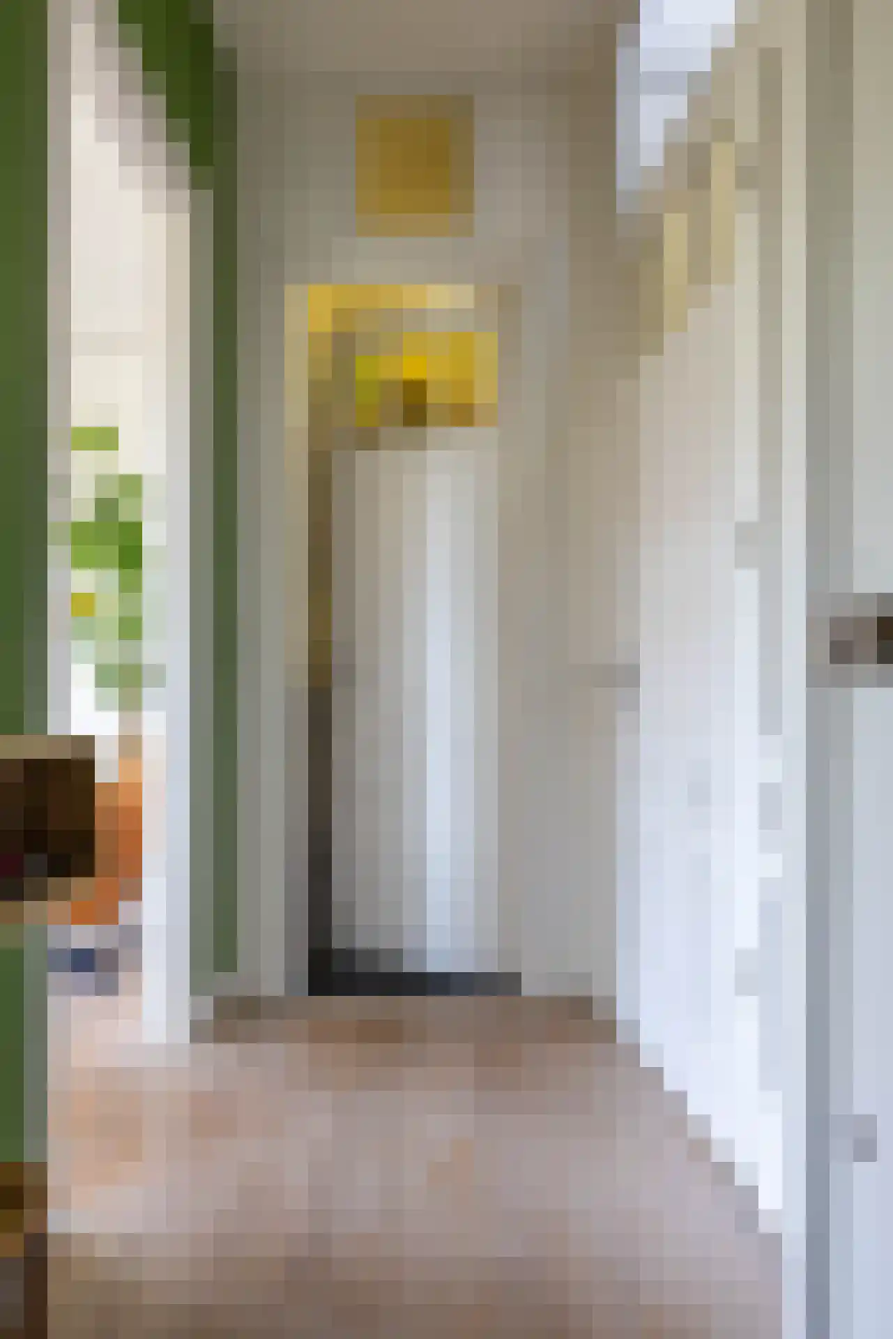 Schietbaanlaan 51 B 02 Rotterdam thumbnail 12