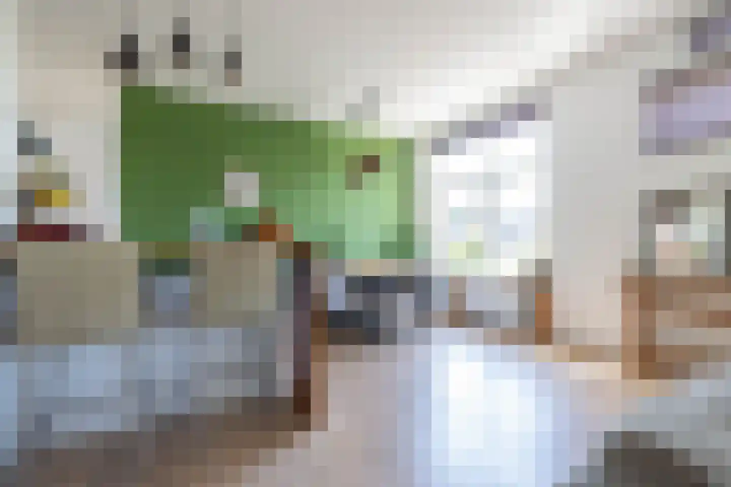 Schietbaanlaan 51 B 02 Rotterdam thumbnail 7