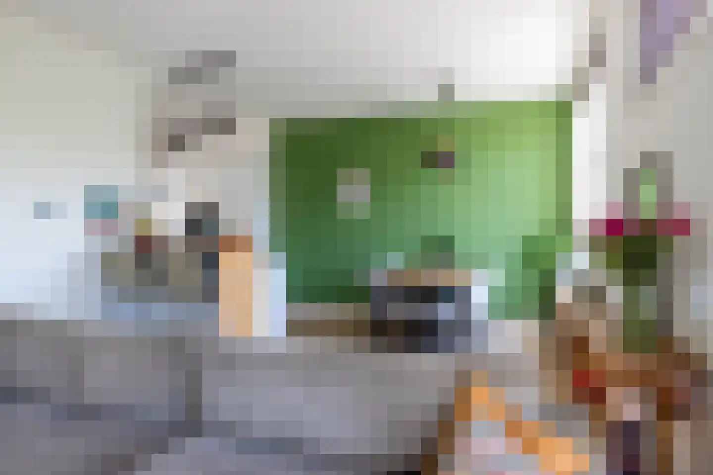 Schietbaanlaan 51 B 02 Rotterdam thumbnail 9