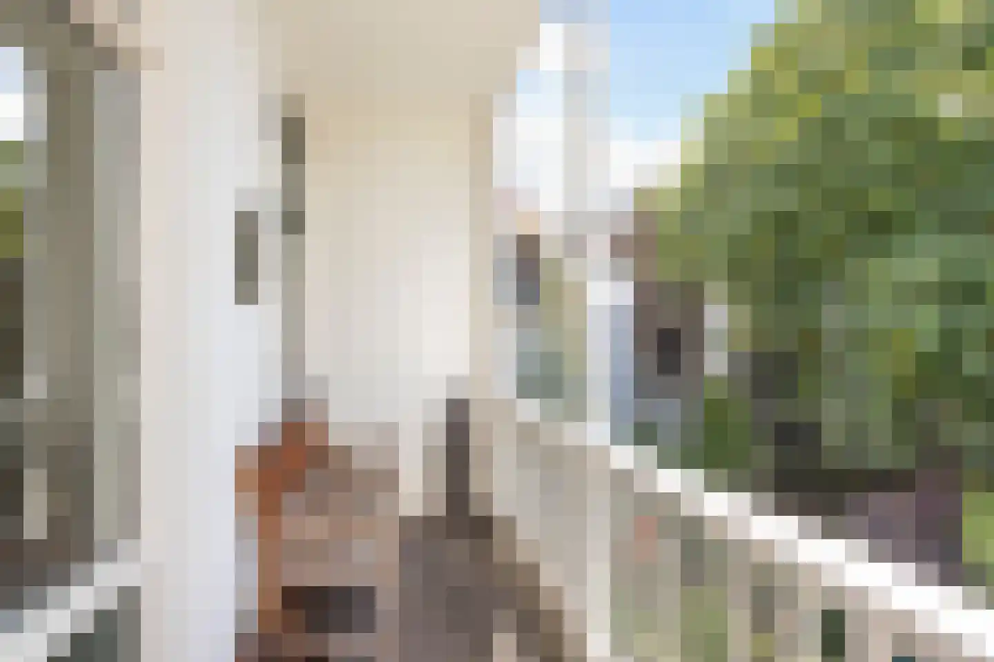 Schietbaanlaan 6 B Rotterdam thumbnail 15