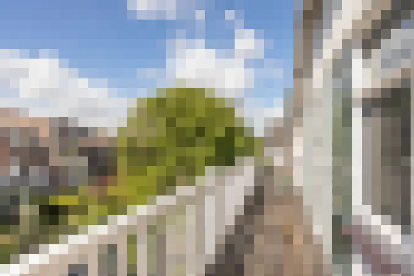 Schietbaanlaan 6 B Rotterdam thumbnail 29