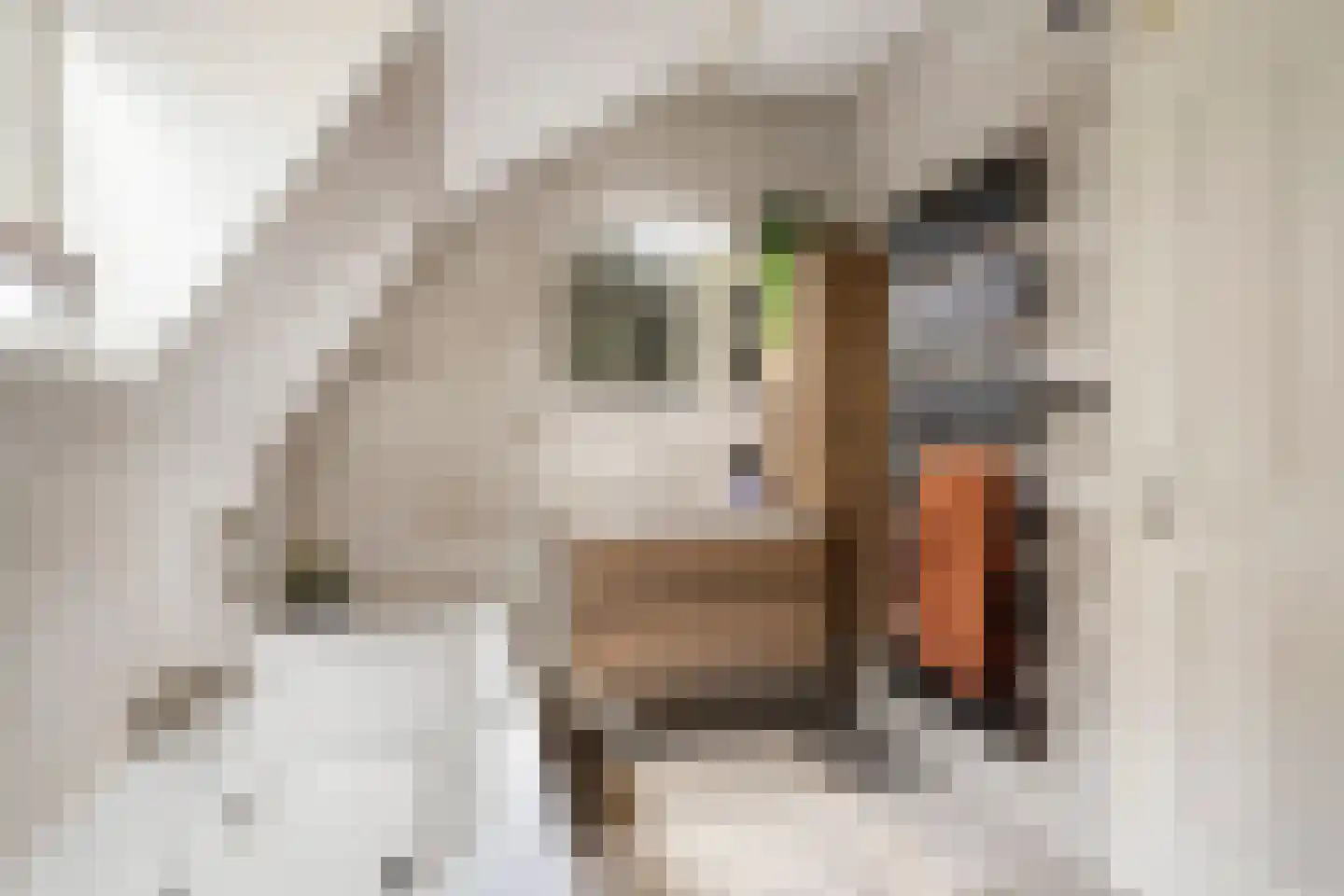 Schietbaanlaan 6 B Rotterdam thumbnail 34
