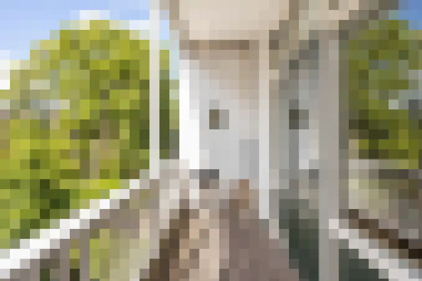 Schietbaanlaan 6 B Rotterdam thumbnail 6