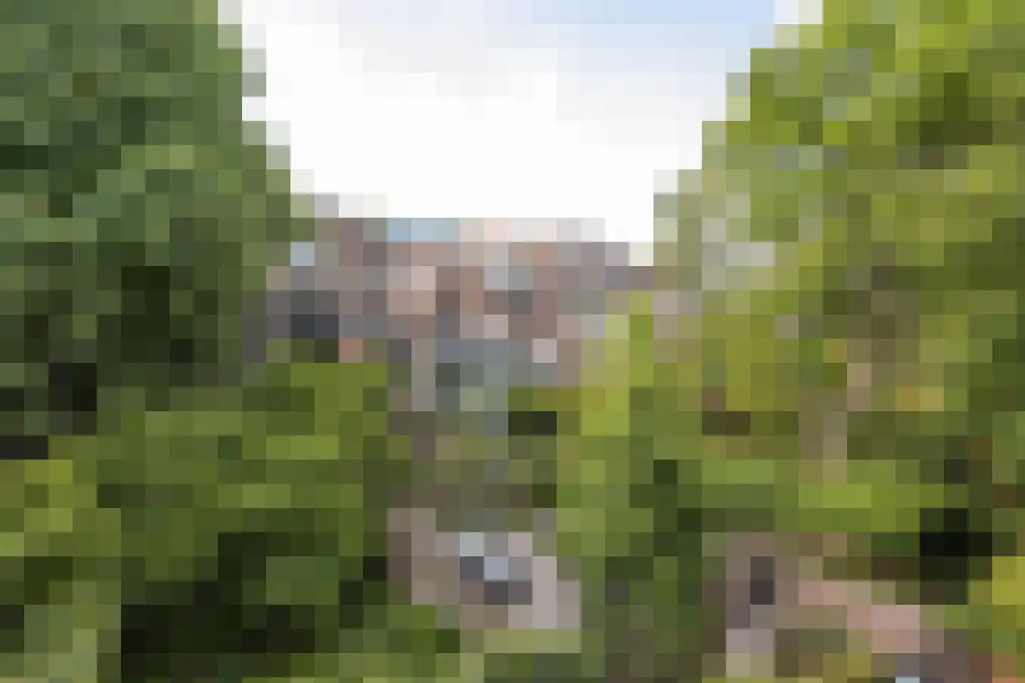 Schietbaanlaan 6 B Rotterdam thumbnail 8