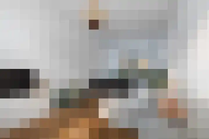 Schietbaanlaan 61 A Rotterdam thumbnail 13