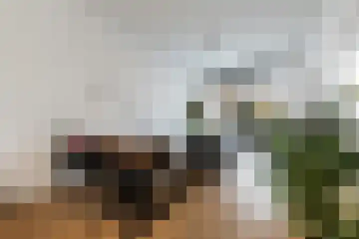 Schietbaanlaan 61 A Rotterdam thumbnail 14