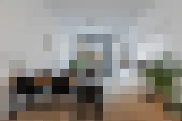 Schietbaanlaan 61 A Rotterdam thumbnail 16
