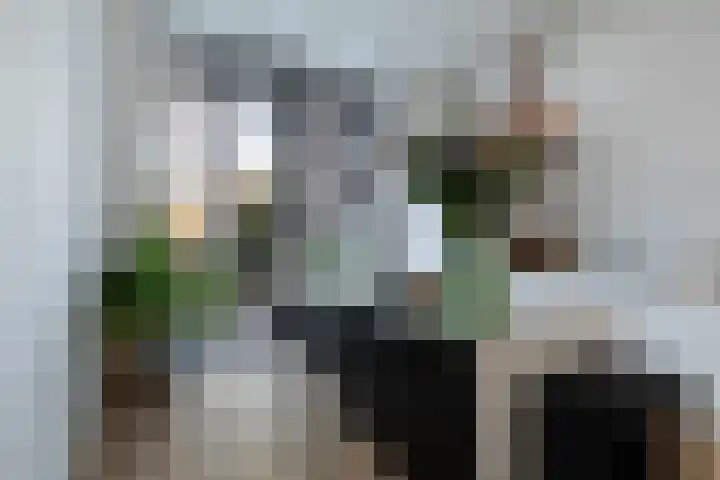 Schietbaanlaan 61 A Rotterdam thumbnail 17