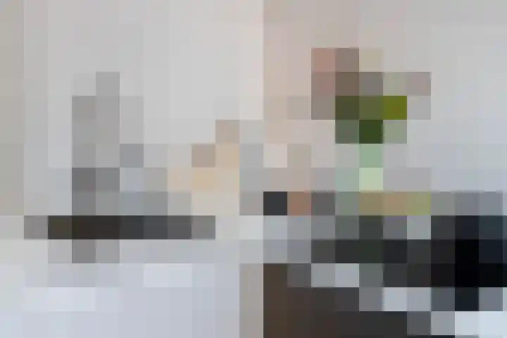 Schietbaanlaan 61 A Rotterdam thumbnail 18
