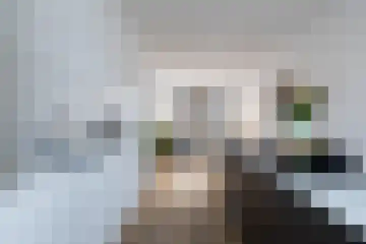 Schietbaanlaan 61 A Rotterdam thumbnail 20