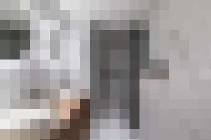 Schietbaanlaan 61 A Rotterdam thumbnail 32