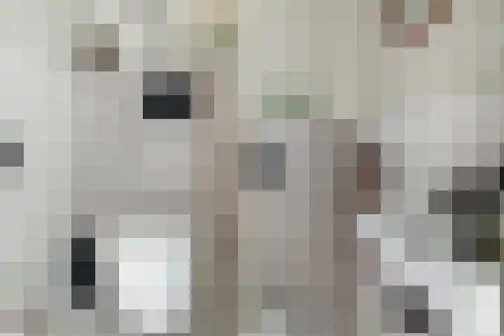 Schietbaanlaan 61 A Rotterdam thumbnail 36