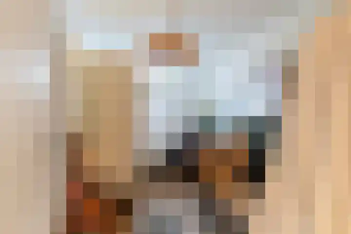 Schietbaanlaan 61 A Rotterdam thumbnail 39