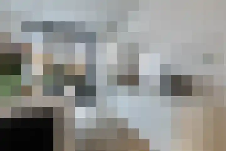 Schietbaanlaan 61 A Rotterdam thumbnail 4