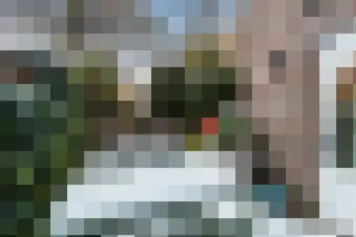 Schietbaanlaan 61 A Rotterdam thumbnail 53