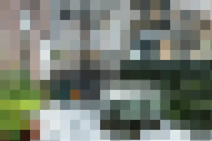 Schietbaanlaan 61 A Rotterdam thumbnail 54