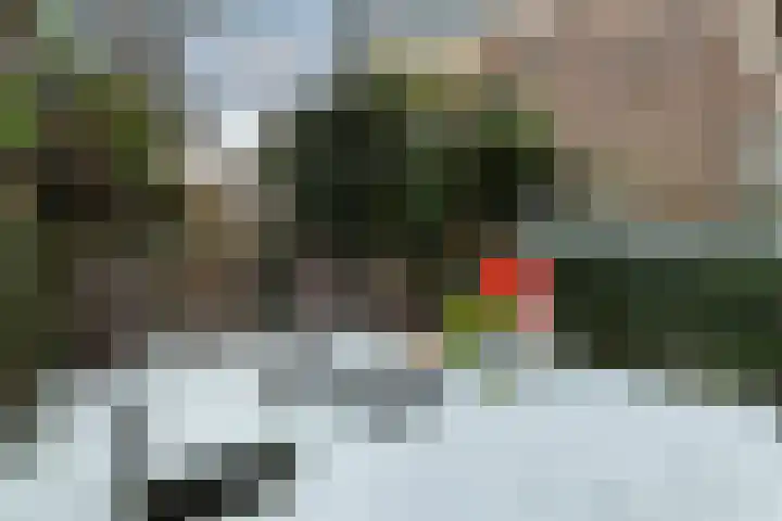 Schietbaanlaan 61 A Rotterdam thumbnail 55