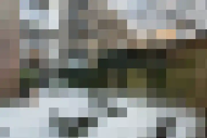 Schietbaanlaan 61 A Rotterdam thumbnail 56