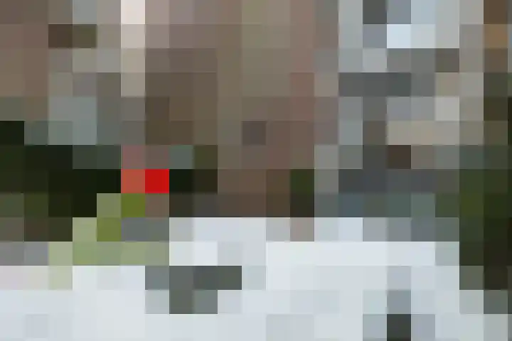 Schietbaanlaan 61 A Rotterdam thumbnail 57
