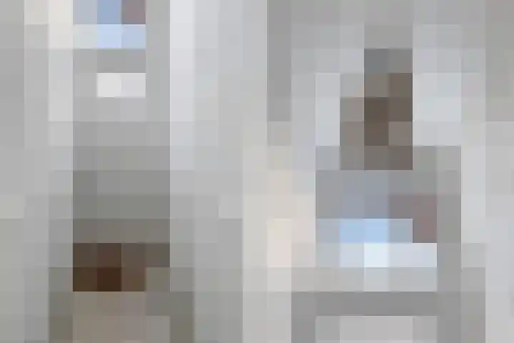 Schietbaanlaan 61 A Rotterdam thumbnail 7