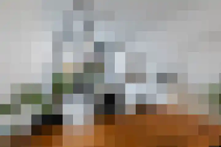 Schietbaanlaan 61 A Rotterdam thumbnail 8