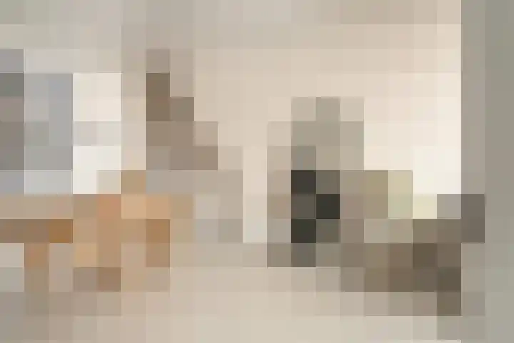 Schietbaanlaan 64 B Rotterdam thumbnail 14