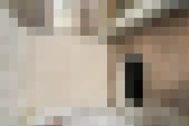 Schietbaanlaan 64 B Rotterdam thumbnail 30