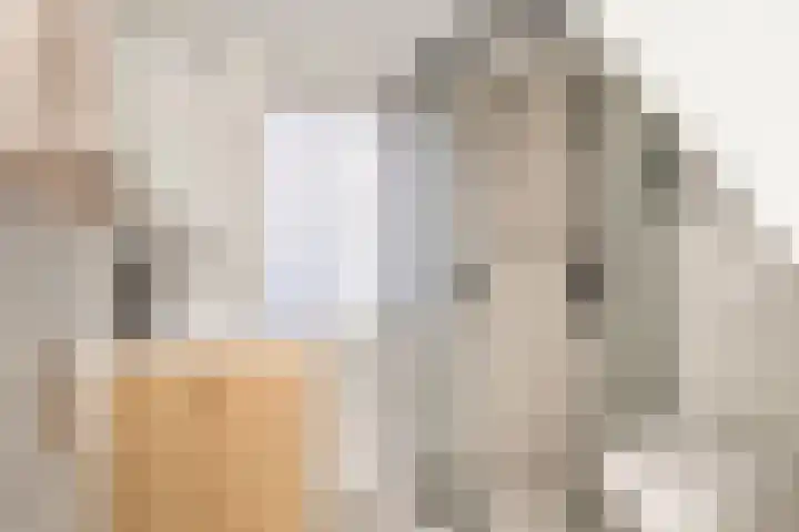 Schietbaanlaan 64 B Rotterdam thumbnail 33