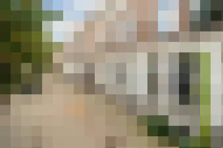 Schietbaanlaan 64 B Rotterdam thumbnail 37