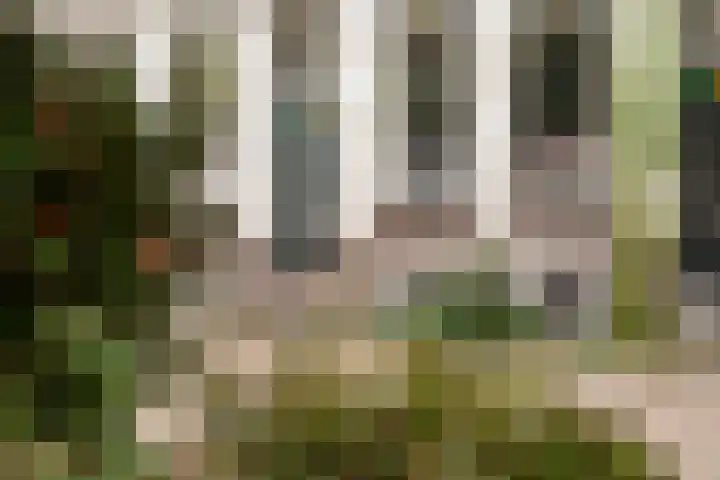 Schietbaanlaan 64 B Rotterdam thumbnail 38