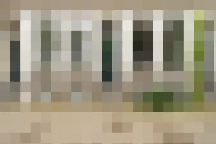 Schietbaanlaan 64 B Rotterdam thumbnail 39