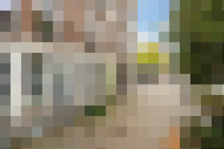 Schietbaanlaan 64 B Rotterdam thumbnail 4