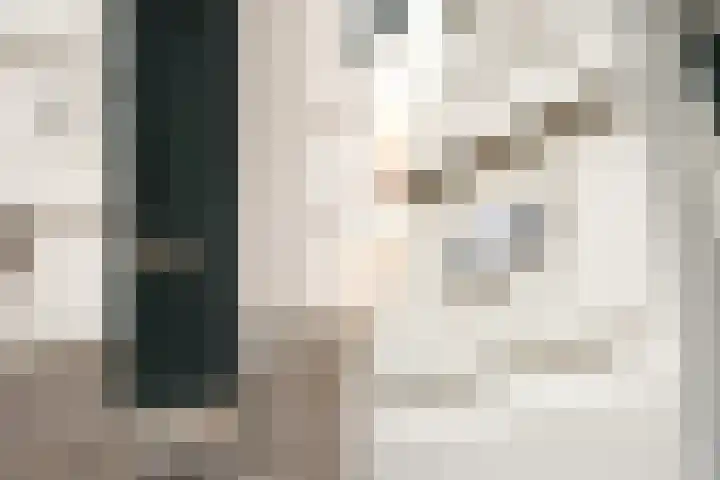 Schietbaanlaan 64 B Rotterdam thumbnail 41