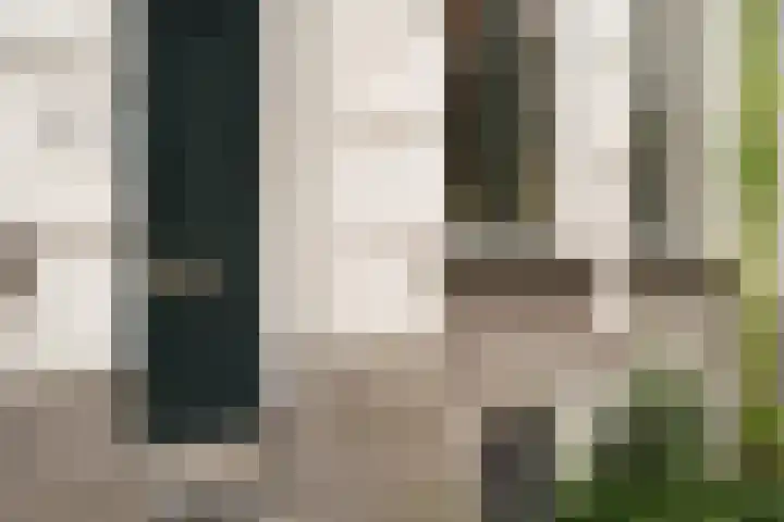 Schietbaanlaan 64 B Rotterdam thumbnail 42