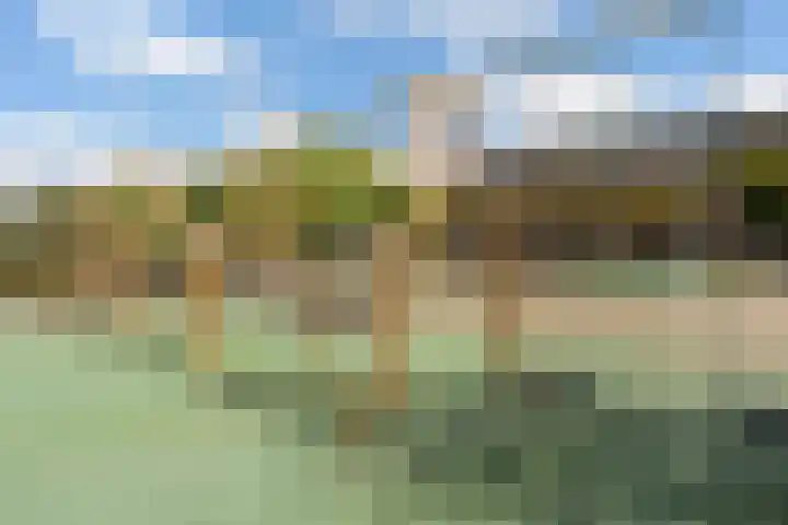 Schietbaanlaan 64 B Rotterdam thumbnail 43