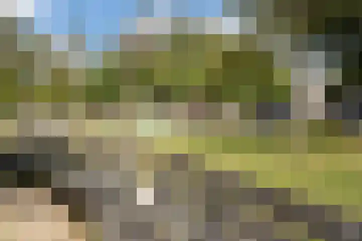 Schietbaanlaan 64 B Rotterdam thumbnail 44