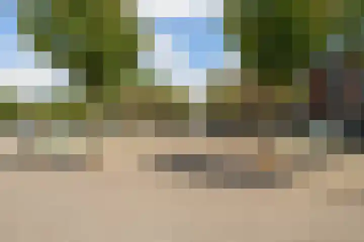 Schietbaanlaan 64 B Rotterdam thumbnail 45